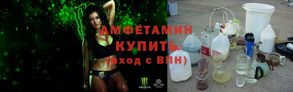 прущие грибы Зерноград